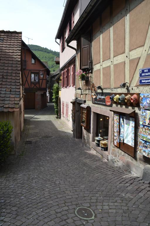 Gites Du Stekala Kaysersberg-Vignoble Bilik gambar