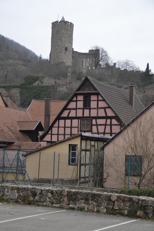 Gites Du Stekala Kaysersberg-Vignoble Luaran gambar