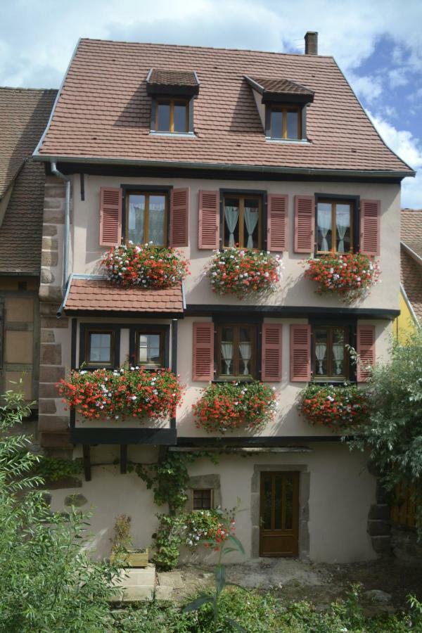 Gites Du Stekala Kaysersberg-Vignoble Luaran gambar